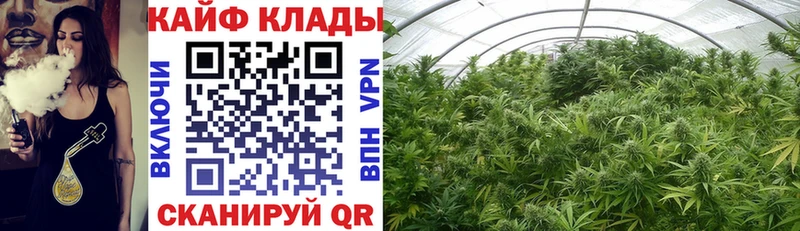 Где купить Жуковка Гашиш  A PVP  МЕФ 
