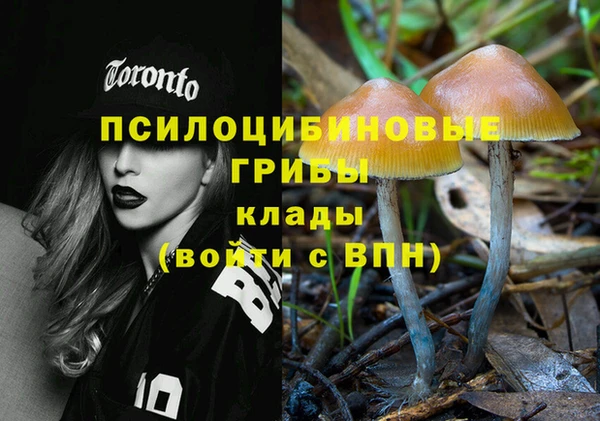 шишки Алексин