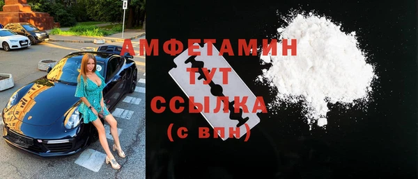 шишки Алексин